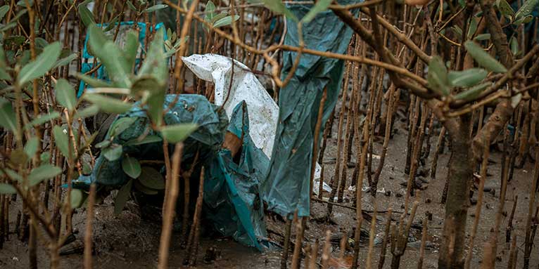 Durch Plastikmüll werden die Mangroven zunehmend erstickt und dieses wichtige Ökosystem bedroht. - Foto: HUDEFO